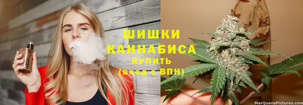 дживик Инта