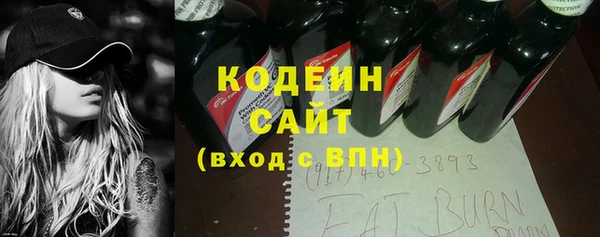дживик Инта