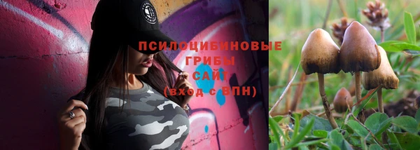 дживик Инта