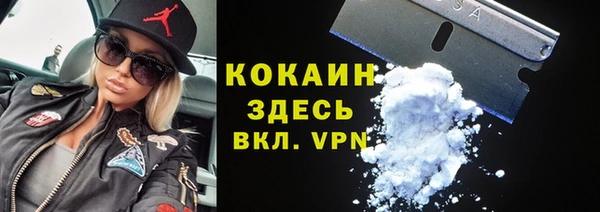 дживик Инта