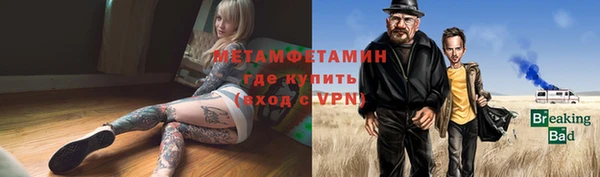дживик Инта