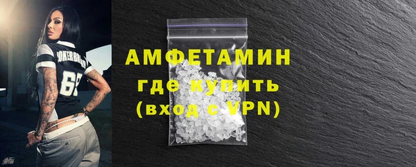 дживик Инта