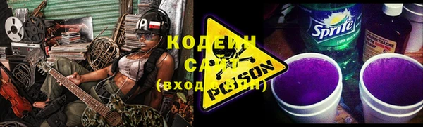 дживик Инта