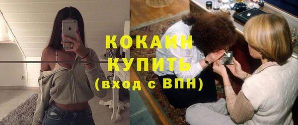 дживик Инта